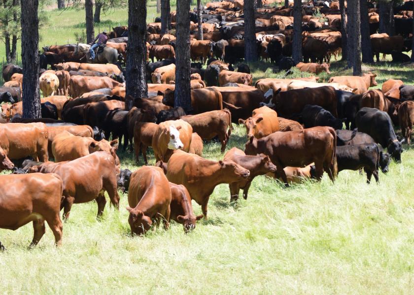 Zoetis Launches INHERIT Select, A Genomic Tool For Cow-Calf Producers