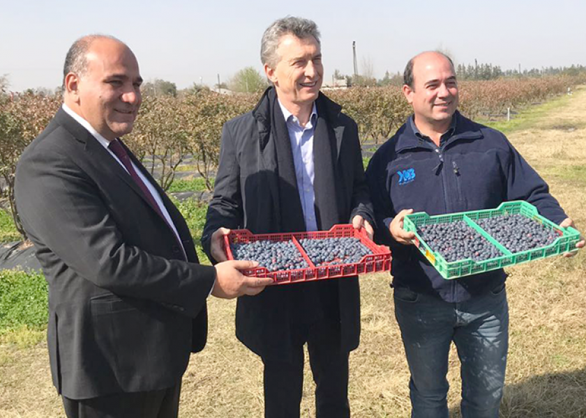 Argentina’s president visits blueberry exporter