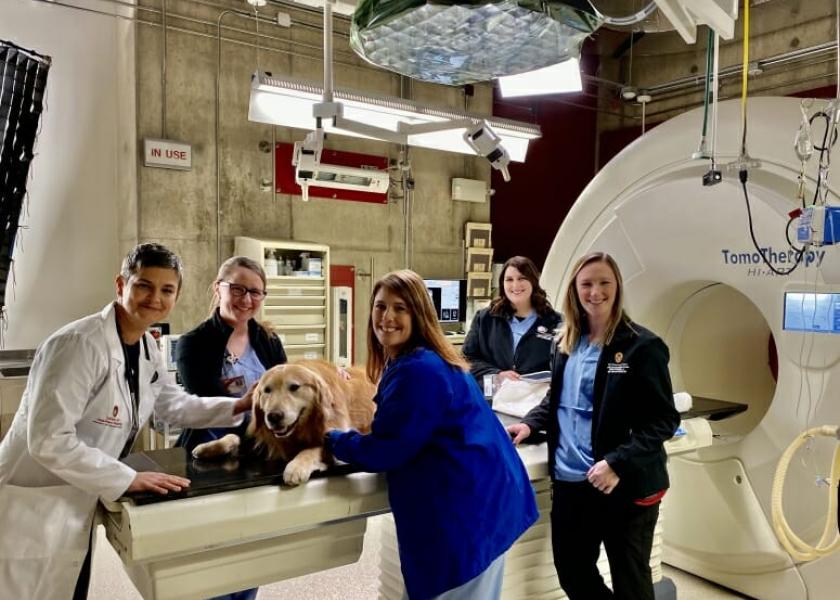 Scout poses with members of UW Veterinary Care’s radiation oncology and anesthesia services during the commercial shoot. From left: Clinical Assistant Professor Michelle Turek and certified veterinary technicians Abigail Jones, Jennifer Borgen, Ashley Onsager and Molly Sehloff.  