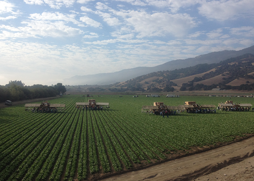 Salinas Valley produce growers late start The Packer