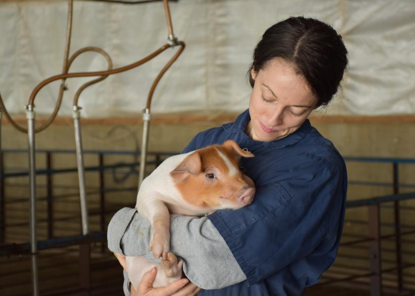 The Responsibility Paradox and Pig Farming