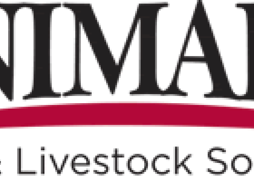 The merger will help evolve ANIMART seamlessly connect veterinary expertise, diagnostics and data and product solutions in one comprehensive offering.