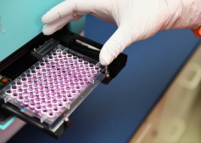 PCR testing improves detection of Histophilus somni, probably finding positive samples missed by culture methods. 