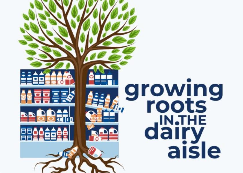 Plants are Taking Root in the Dairy Case Dairy Herd