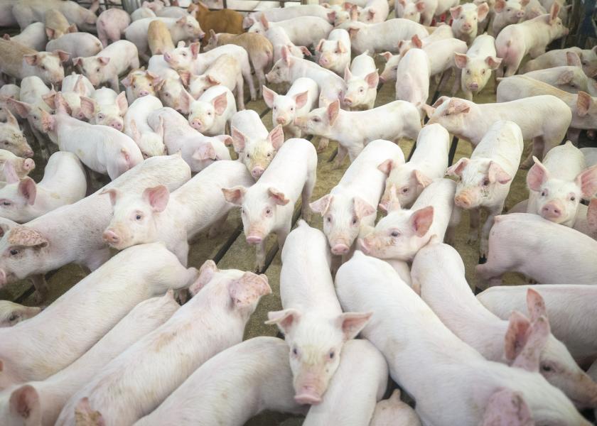 The research study, conducted by Gira, a global research firm, used Pork Checkoff dollars and funds from the USDA Foreign Agricultural Services Emerging Markets Program. 