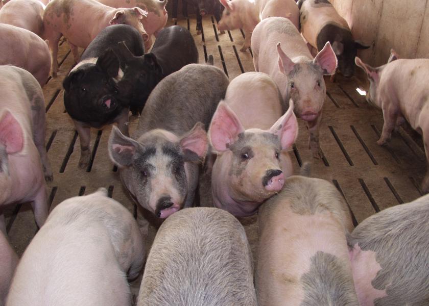 Taiwan Lifts Ban on Ractopamine in U.S. Pork Imports