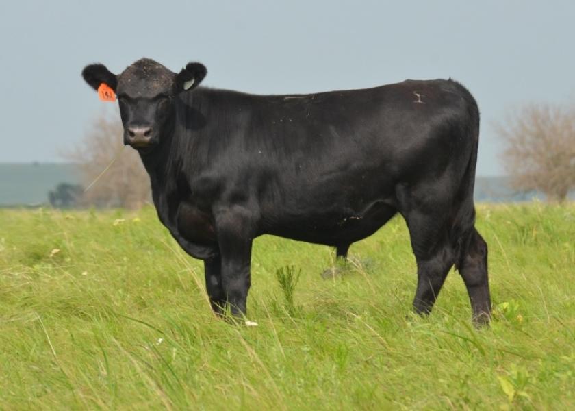 Better Spring Forage Conditions in Oklahoma