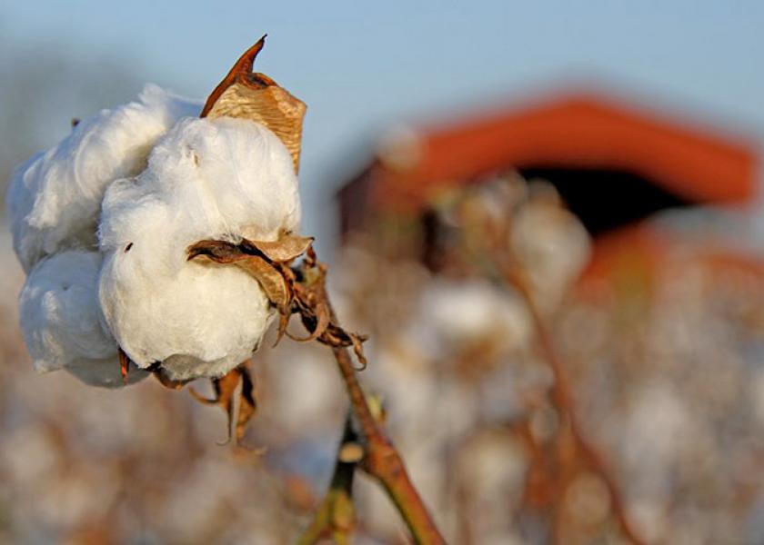Cottonseed Products Feel Acreage Squeeze | AgWeb