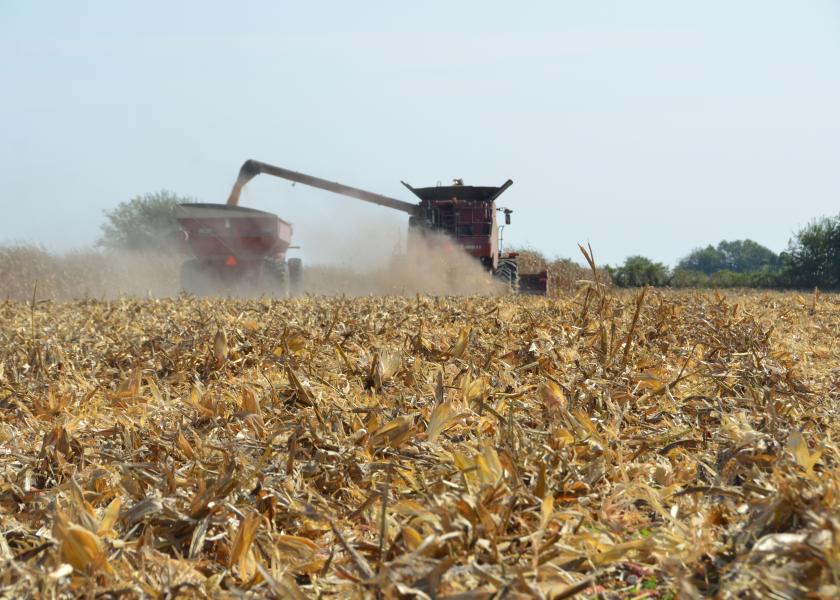 As corn prices climb past $4, the unprecedented harvest price momentum continues. What is driving the higher prices? Economists with the University of Tennessee Institute of Agriculture weigh in. 