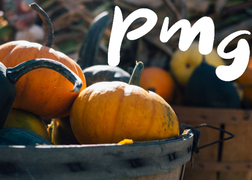 Fall favorites make a comeback on PMG
