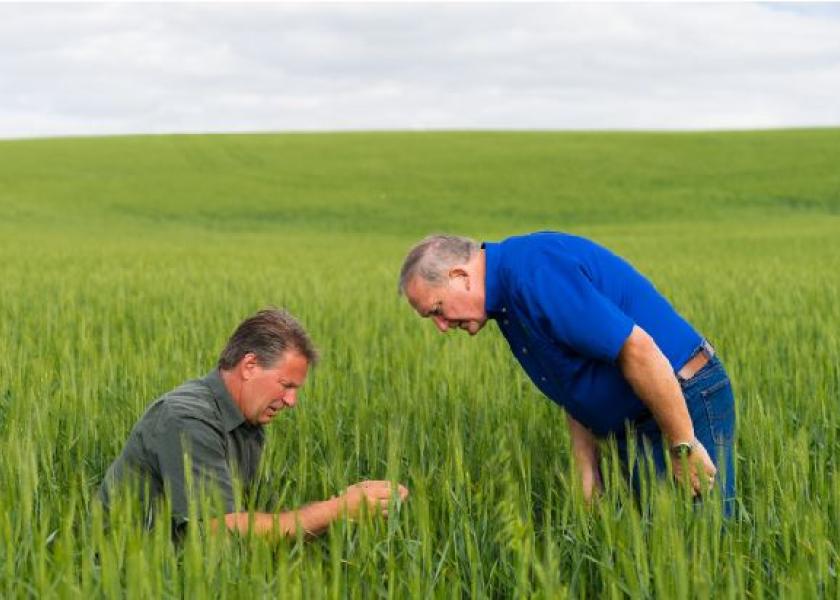 New Study Looks At The Relationship Between Farmers And Their Advisors