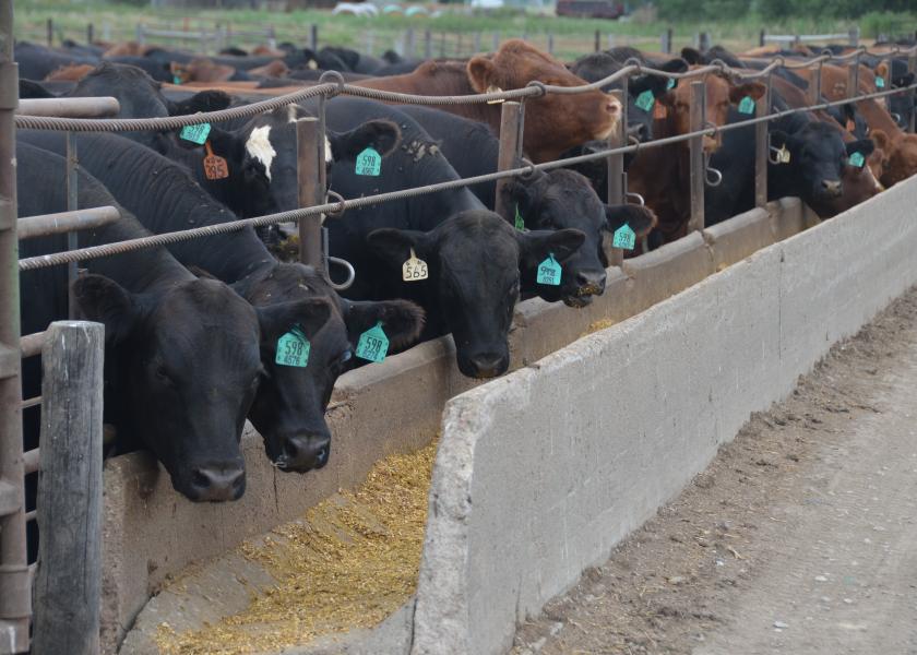 Behavior monitoring proves beneficial for feedyards.