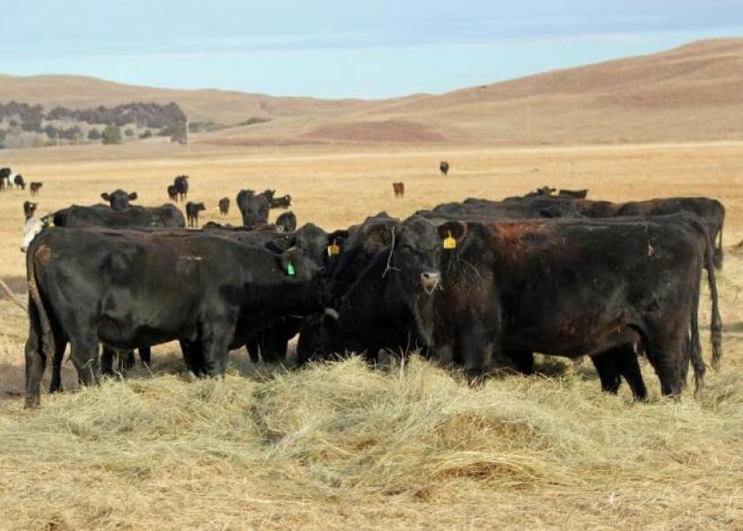  Branded programs draw ranchers closer to consumers.