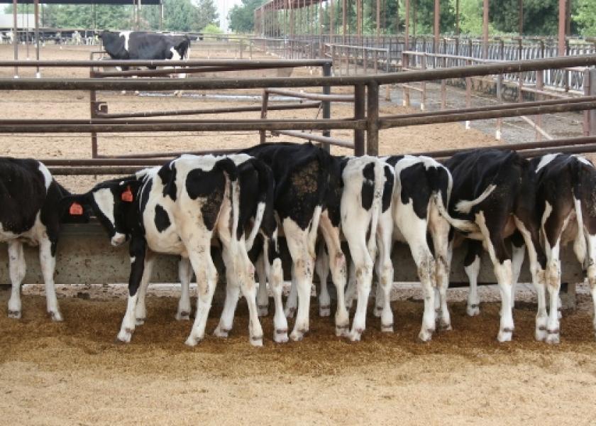 Dairy operations must be nominated by professionals, such as veterinarians, extension agents, artificial insemination and pharmaceutical company representatives.