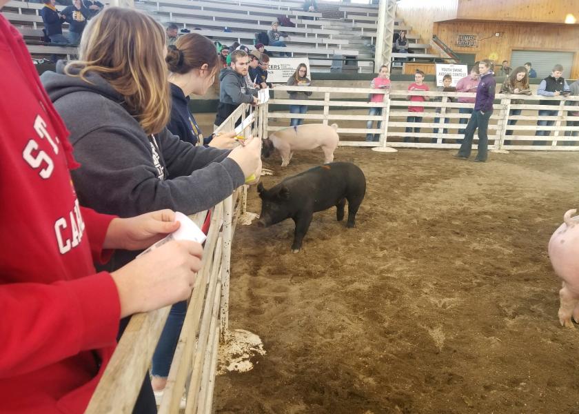 Youth Swine Judging Contest Awards $4,500 in Scholarships