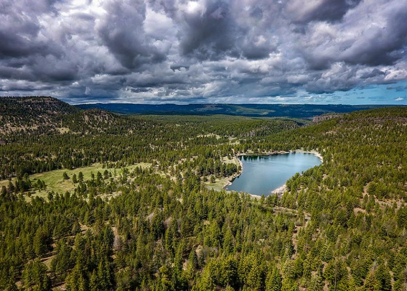 40,000 Acre Oregon Cattle and Timberland Ranch Listed for $30 Million