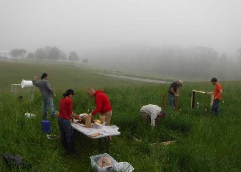 For the study, researchers analyzed ecosystems exposed to manure from cattle given no antibiotics and manure from cattle given a common antibiotic, as well as a control sample not exposed to manure. 