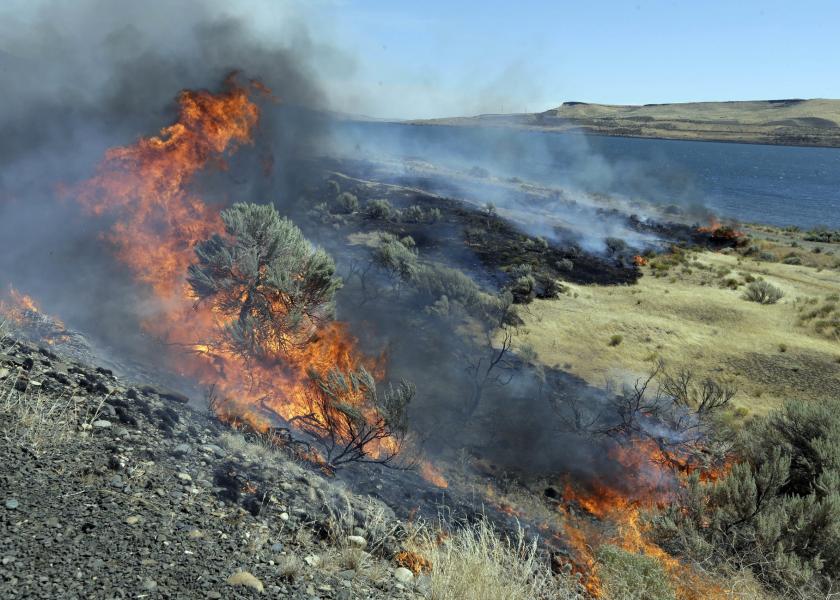 Federal officials have released a plan to save sagebrush habitats in Western states that support cattle ranching, recreation and 350 wildlife species, including imperiled sage grouse. Officials say the 248-page document released this month is a paradigm shift relying on advances in technology and analytics to categorize sagebrush areas based on resistance and resilience to wildfire.