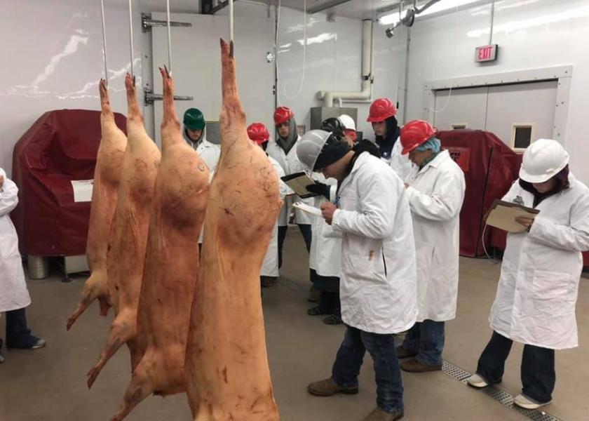 Meats judging