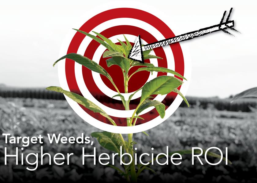 Target Weeds, Higher Herbicide ROI