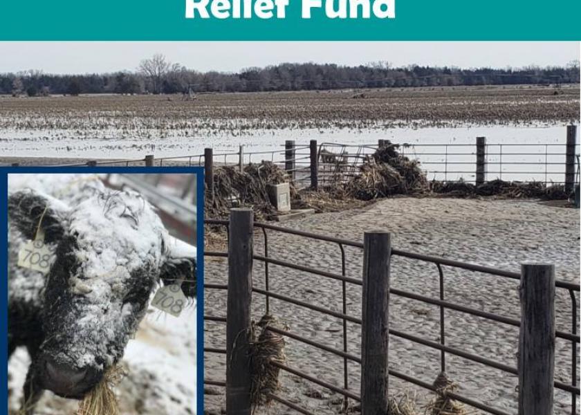 Nebraska Cattlemen Disaster Relief Fund Accepting Applications