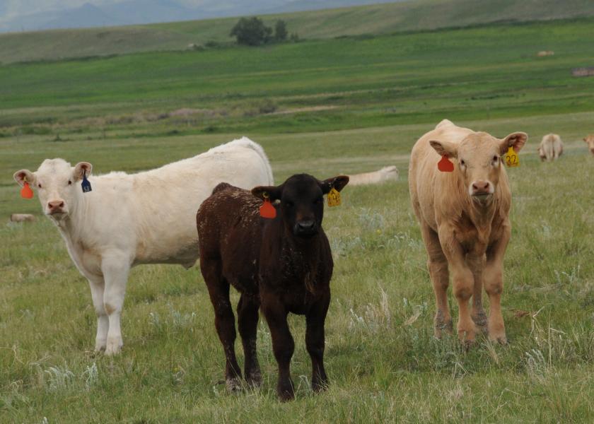 "There are distinct and proven benefits to the environment accruing to cattle production and yes, it is sustainable. "