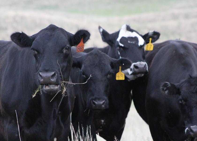 Cattlemen Have Opportunity to Educate Consumers About Animal Welfare
