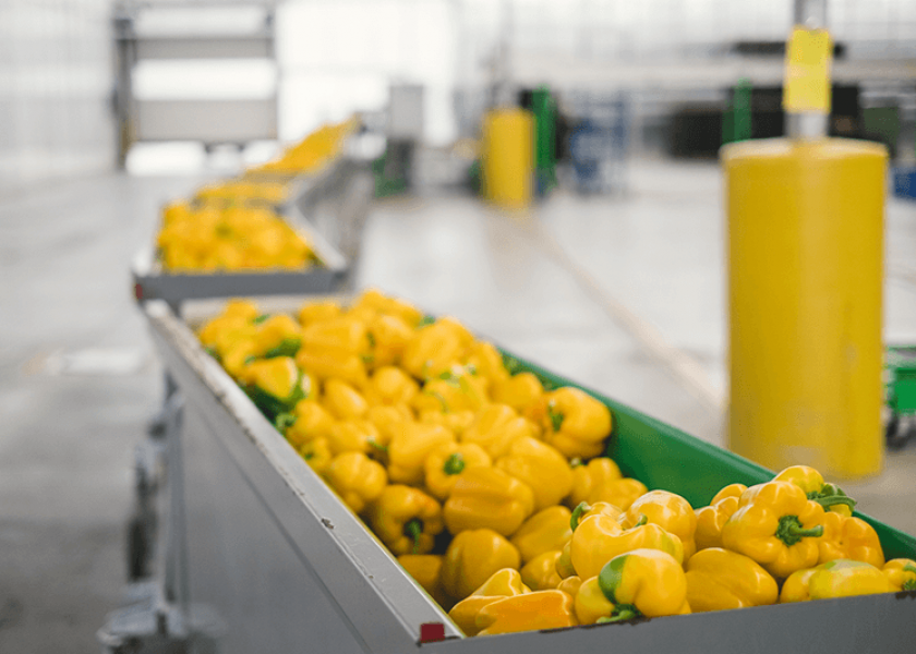 NatureFresh in full production mode in Ontario