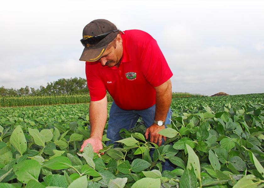If successful pest control constitutes a run scored, then the four bases you have to touch are time, equipment, people and products.