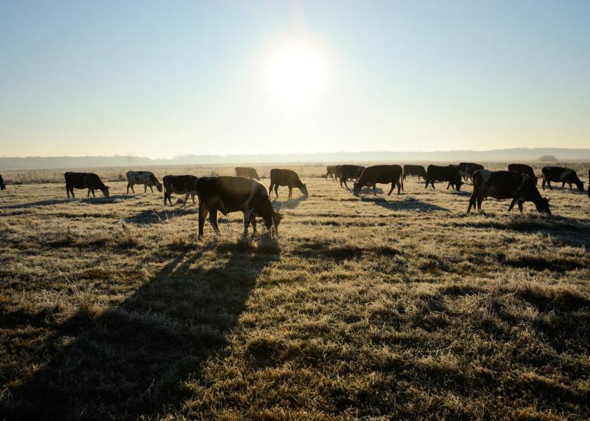 deworming in cattle