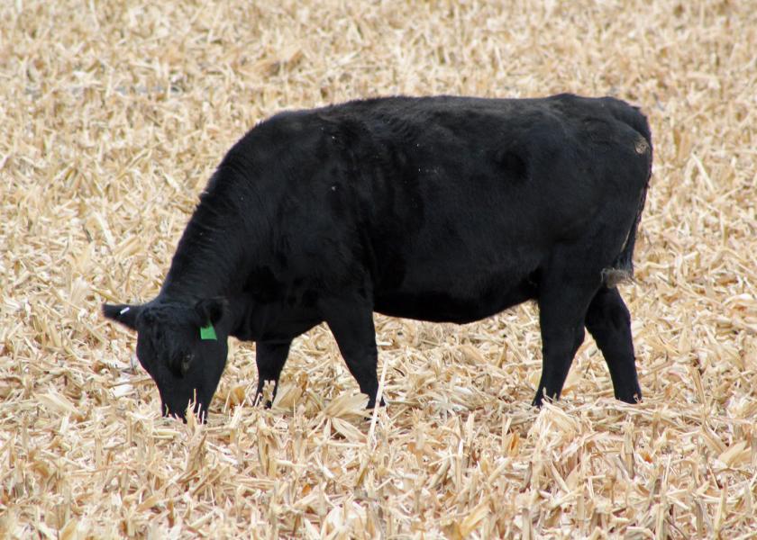 Will Crop Residue Utilization Affect Herd Expansion?
