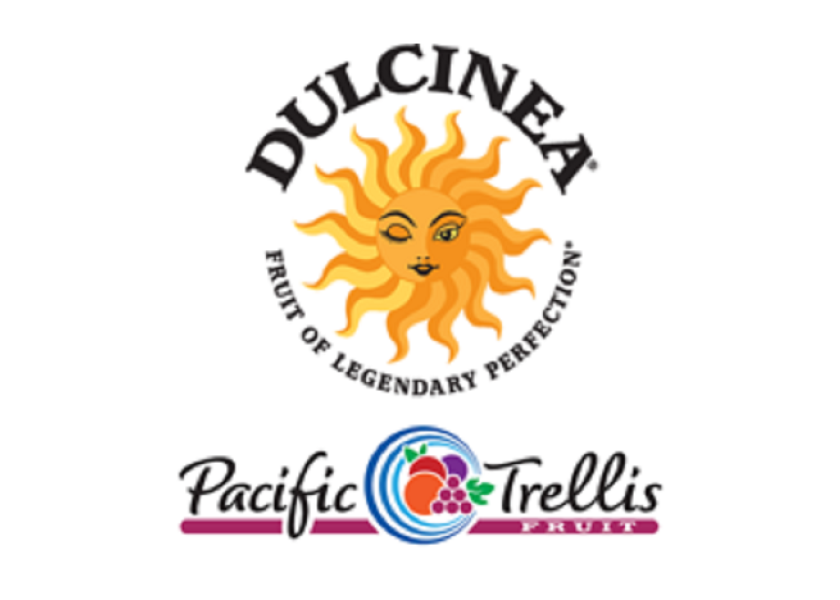 Pacific Trellis starts shipping premium grape line in December The Packer