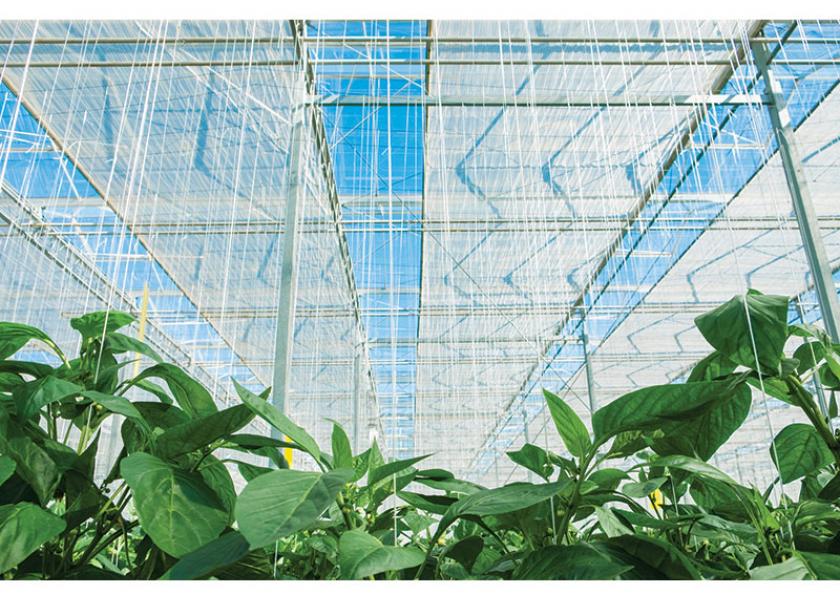 Nature Fresh Farms has installed energy screens that help keep cold air out and warm air inside its more than 200 acres of high-tech greenhouses where the company grows organic and conventional peppers, cucumbers and tomatoes, says Sarah Krzysik, public relations coordinator.