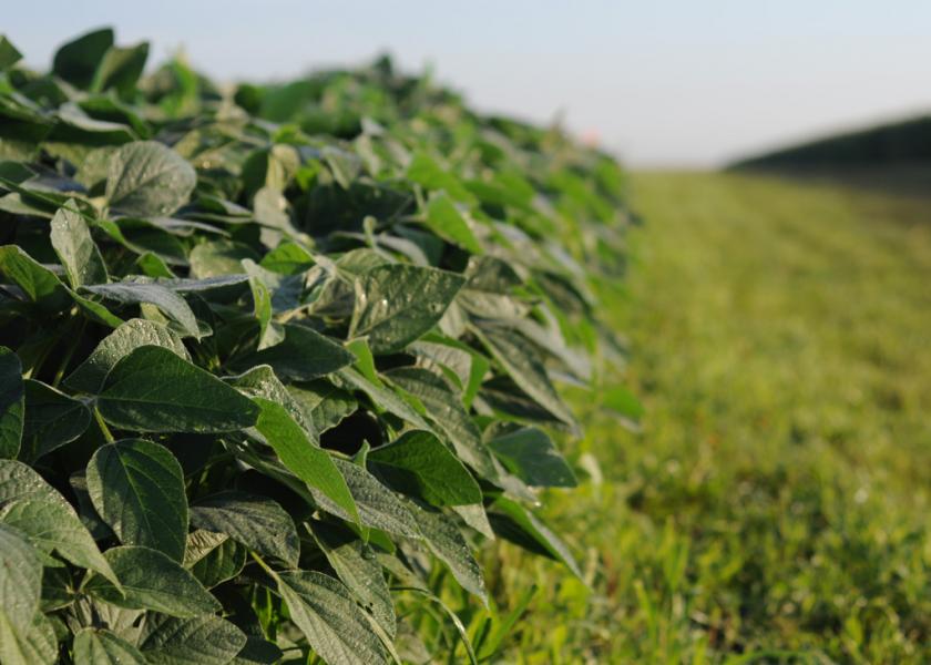 EPA Approves Fourth Dicamba Option, Tavium, from Syngenta