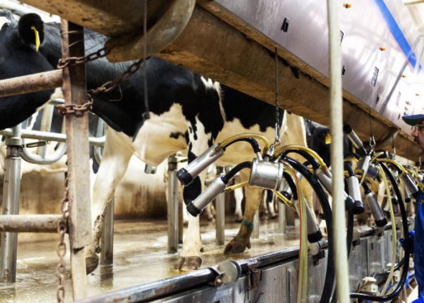 Nebraska Works to Recruit Dairy Farmers From Other States 
