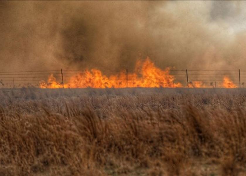 Wildfires are prompting a feed shortage.