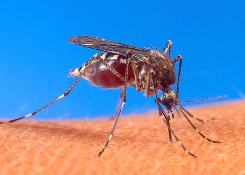 Direct exposure to infected animals does not appear to present any risk of EEE infection, which requires transmission through mosquito vectors.