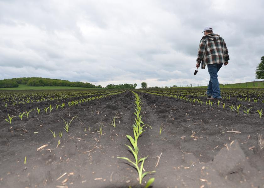 Seed treatment helps fight early season diseases to create healthy seedlings.