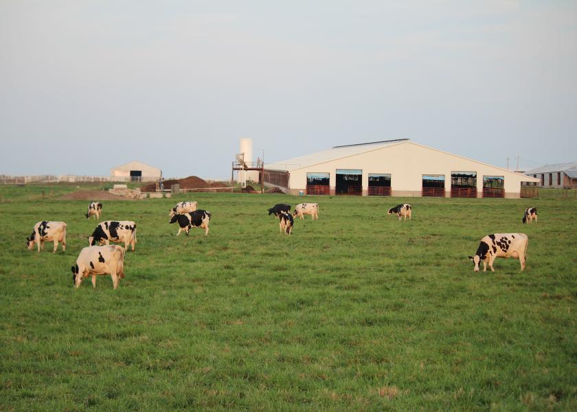 Fresh air is important to cow comfort.