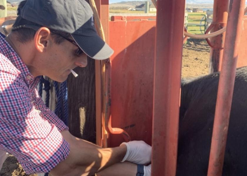 Marty Zaluski, DVM, serves as State Veterinarian with the Montana Department of Livestock.