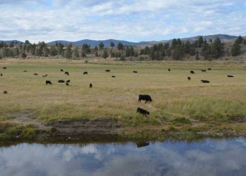 A temporary restraining order will stop Steven and Dwight Hammond from using their federal grazing permits.