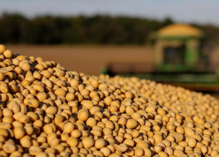 Why is China Buying US Soybeans?