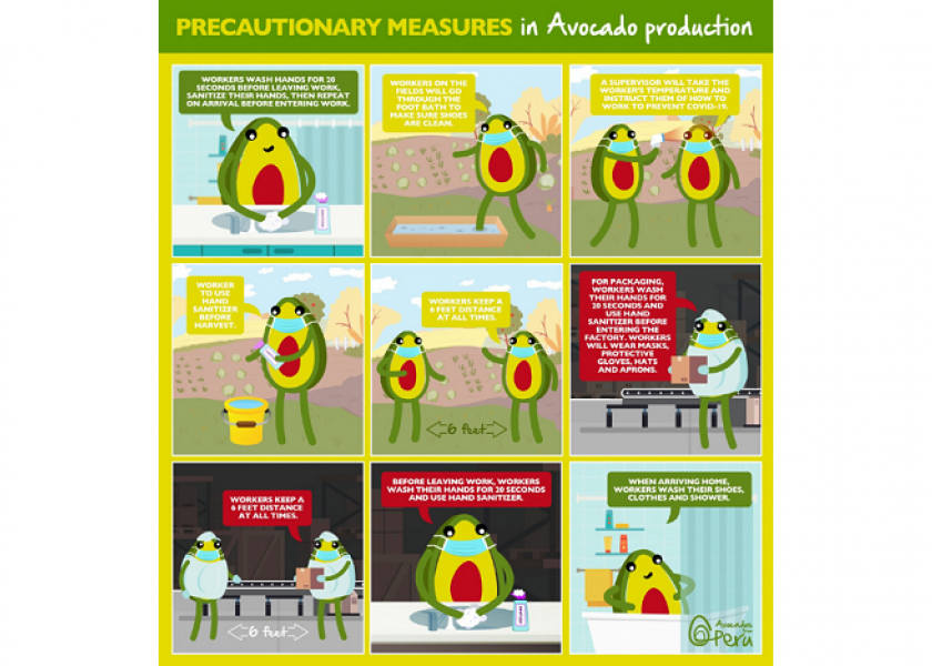 Avocados From Peru has released a graphic featuring the group's mascot, explaining the steps the industry is taking during the global pandemic.