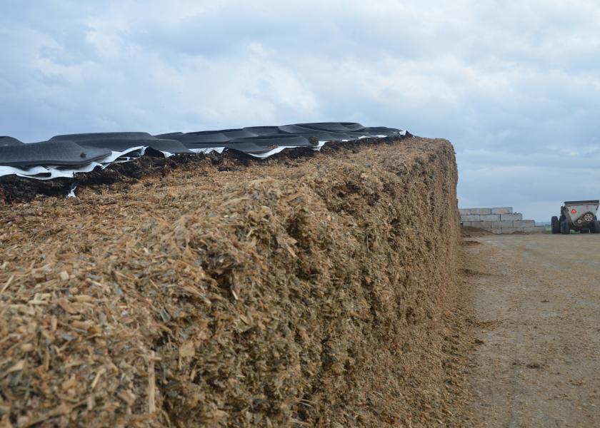 Plan A Silage Strategy | Dairy Herd