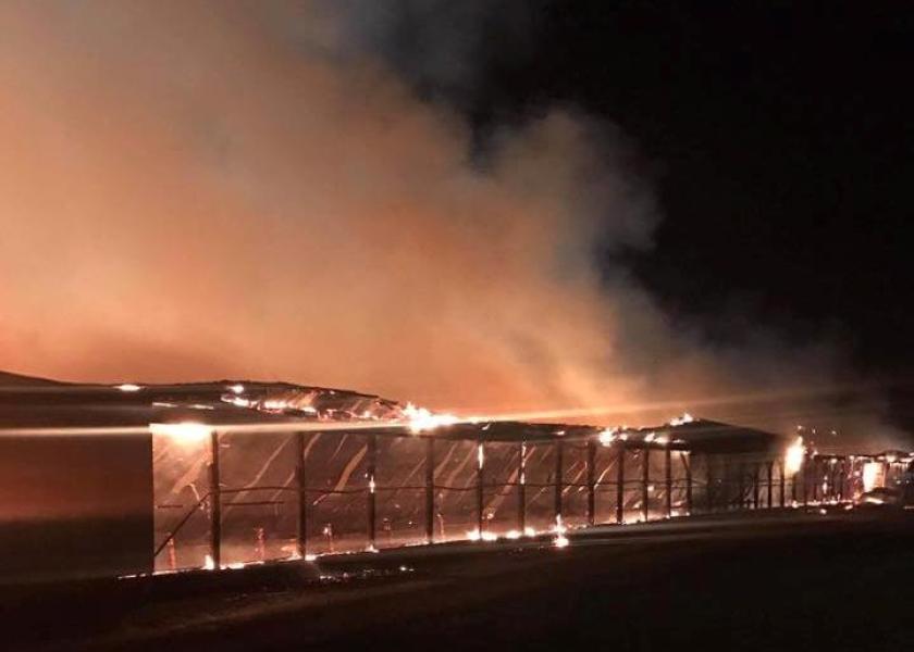 Large Barn Fire Kills Nearly 550 Cattle in New York Dairy Herd