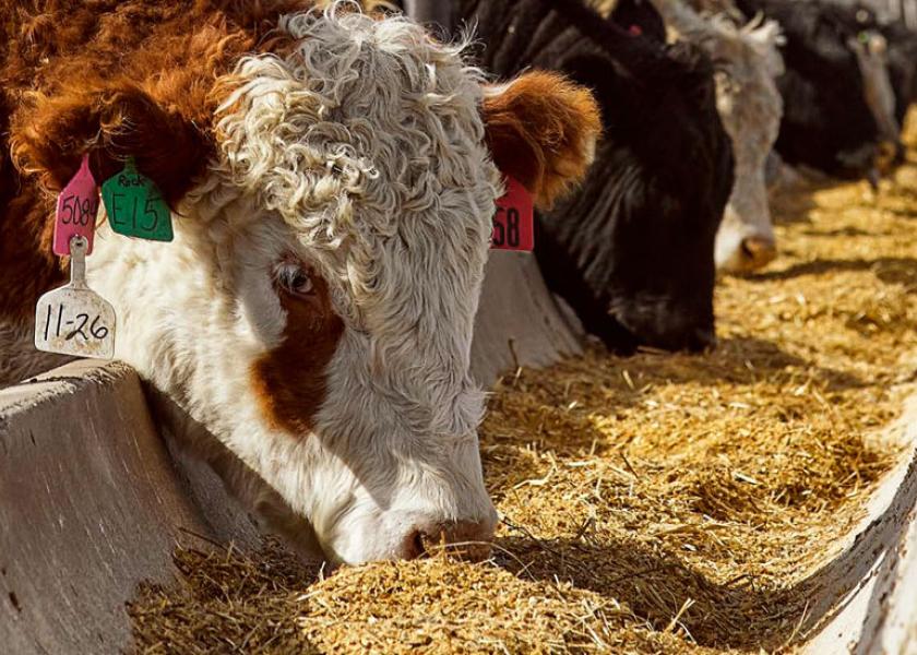 7-Session Feedlot Short Course Kicks Off July 16 | Drovers 7-Session Feedlot Short Course Kicks Off July 16 | Drovers