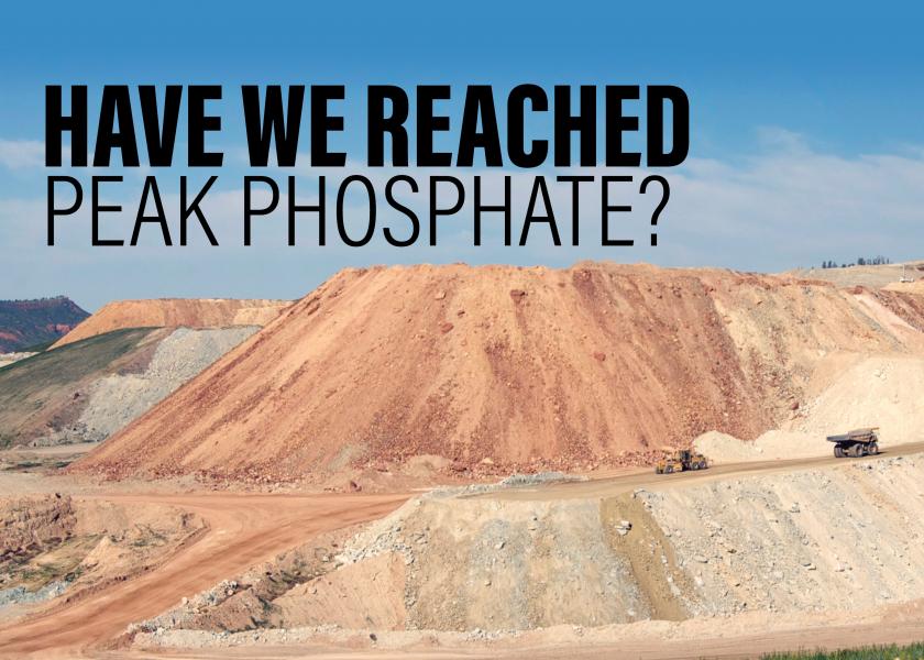 Phosphorus Time Bomb for Agriculture? Myth and Reality