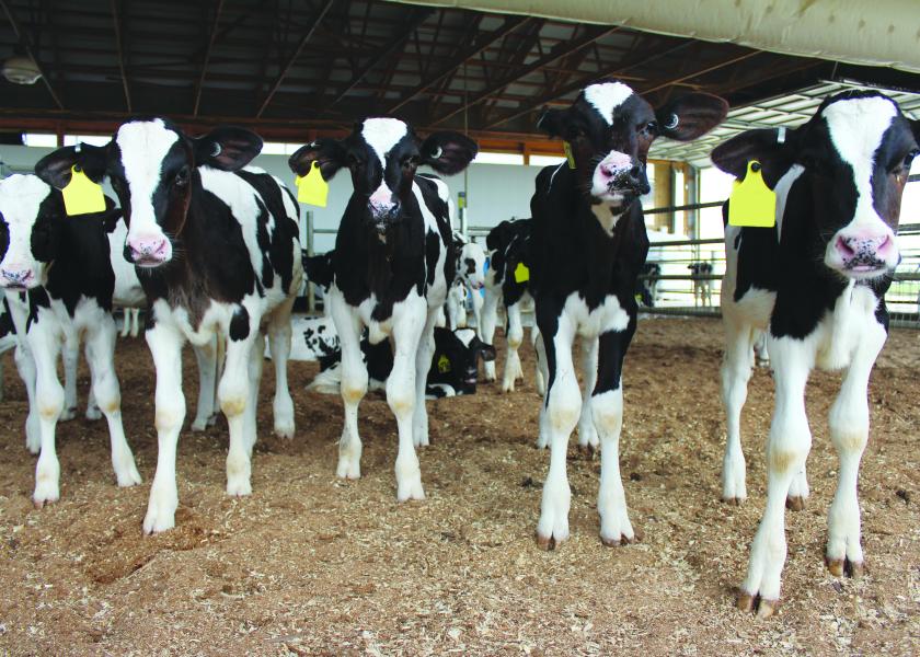 How To Properly Store And Handle Cattle Vaccines