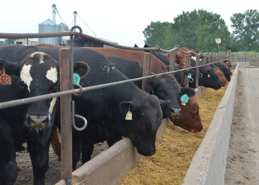 USDA's March 1 cattle on feed report estimated 1% more cattle in feedlots than the same period last year.