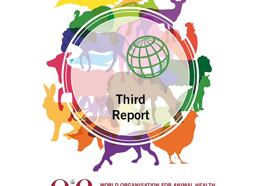 Use of antimicrobials for growth promotion has declined from 60 to 45 countries since the last round of data collection.